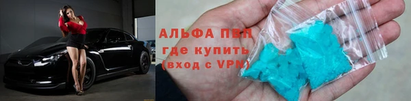 стаф Богородск
