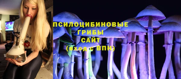 стаф Богородск