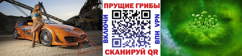 Галлюциногенные грибы прущие грибы  Кохма 
