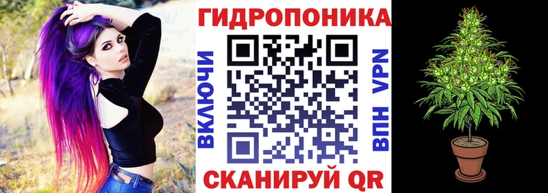 Бошки марихуана семена  hydra вход  Кохма 